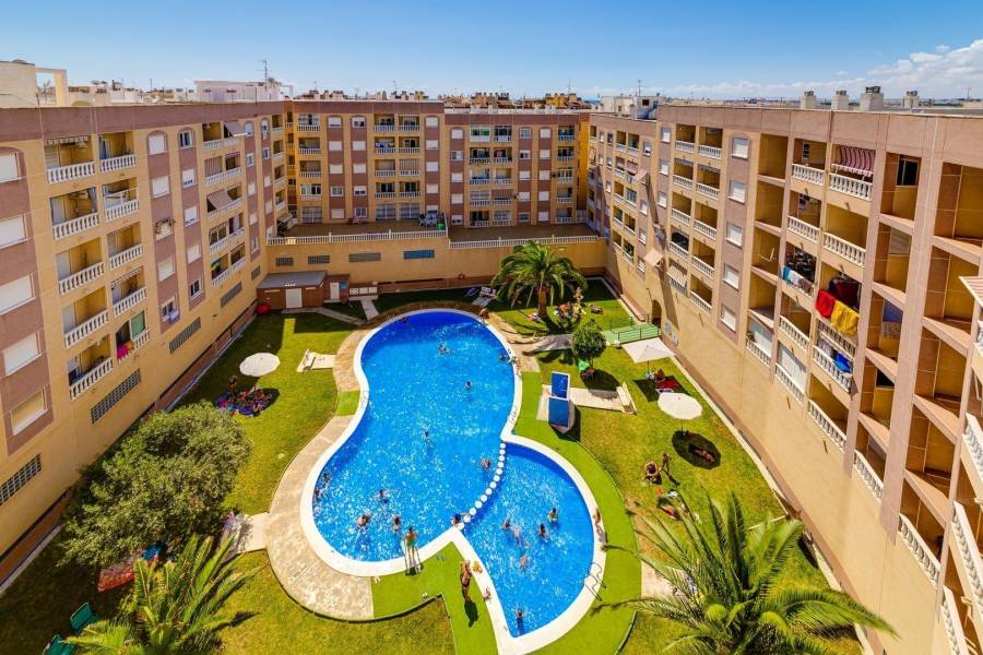 Sale - Apartment - Centro - Torrevieja