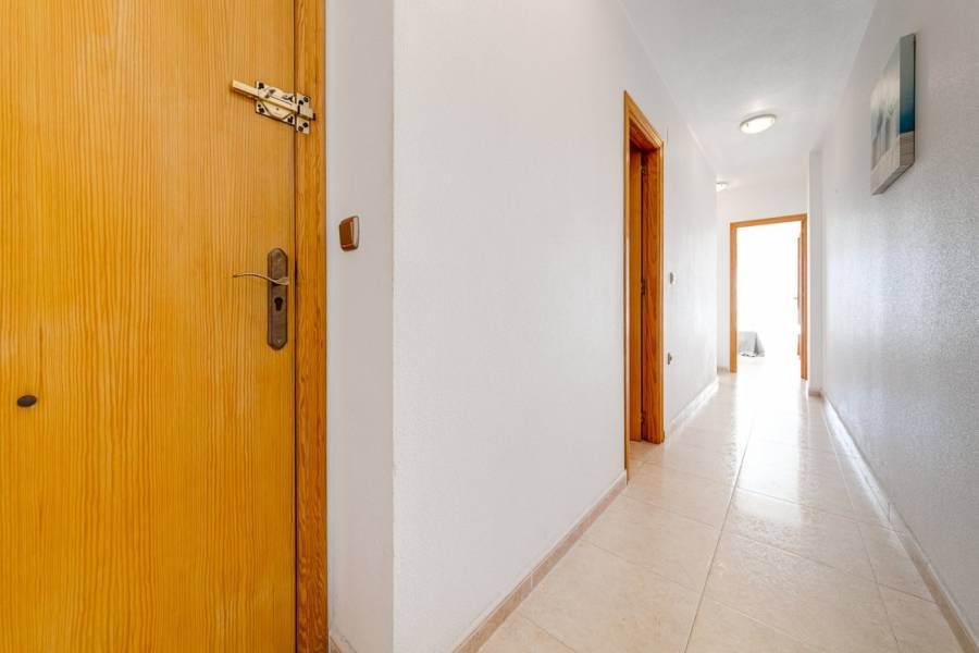 Sale - Apartment - Centro - Torrevieja