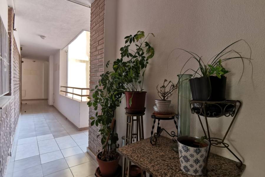 Sale - Apartment - Estacion de autobuses - Torrevieja