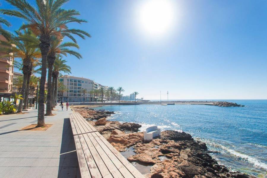 Sale - Studio - Paseo maritimo - Torrevieja