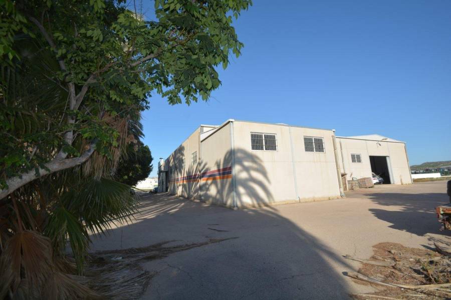 Vente - Bâtiment industriel - Correntías Bajas - Orihuela