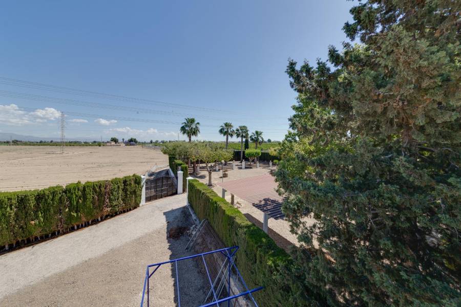 Vente - Maison individuelle - Correntías Bajas - Orihuela