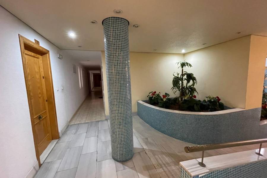 Vente - Appartement - Estacion de autobuses - Torrevieja