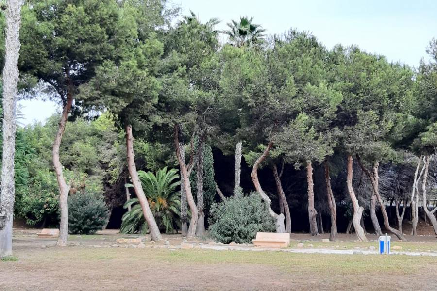 Venta - Ático Dúplex - Acequion - Torrevieja