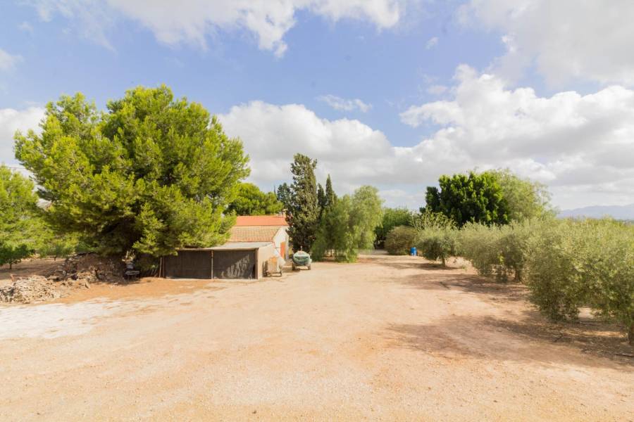 Vente - Maison - La Matanza - Orihuela