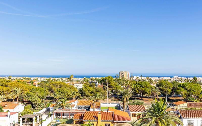 Semiatico - Venta - Nueva Torrevieja - Torrevieja