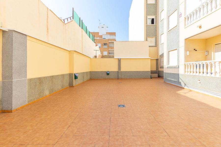 Venta - Apartamento - torrevieja - Torrevieja