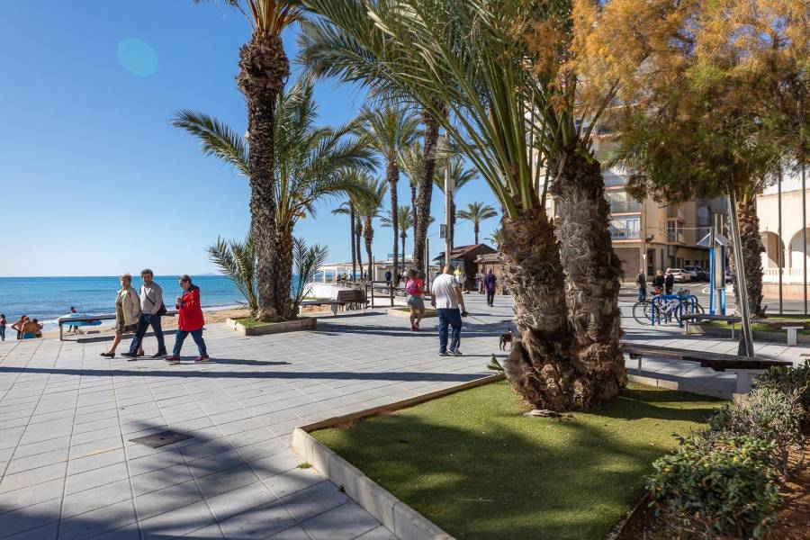 Vente - Maison mitoyenne - Paseo maritimo - Torrevieja