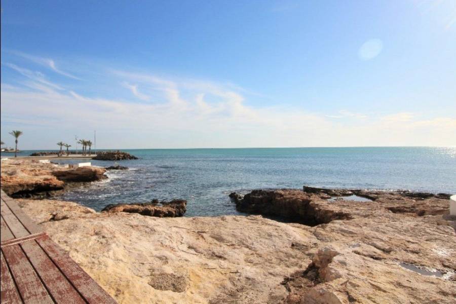 Sale - Studio - Paseo maritimo - Torrevieja