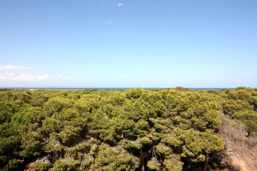 Sale - Apartment - La pinada - Guardamar del Segura