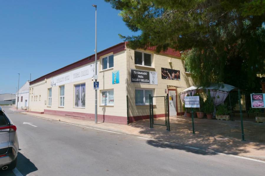 Vente - Local commercial - Almoradí - Almoradi