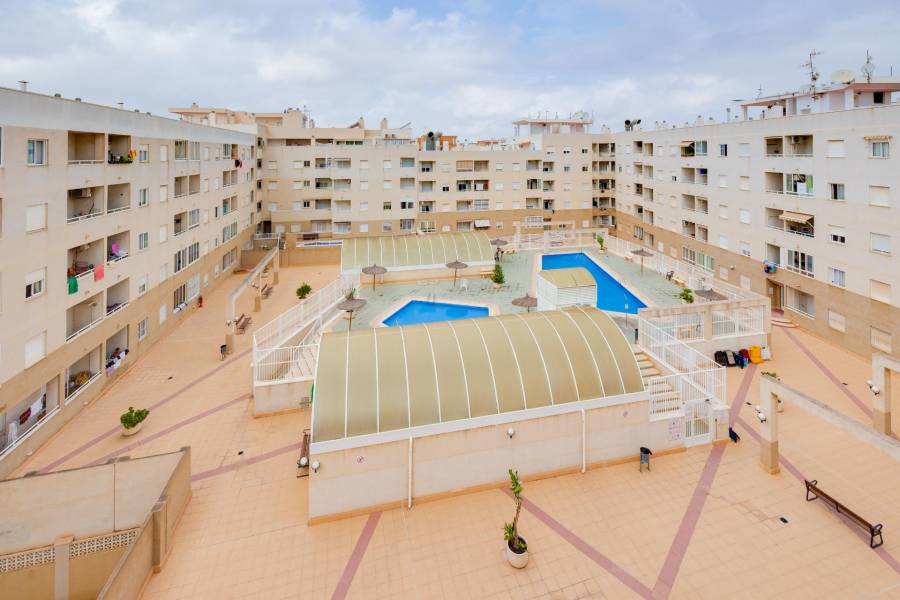 Vente - Appartement - Playa de los locos - Torrevieja