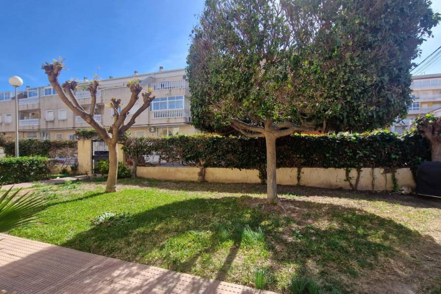 Venta - Bungalow Planta Baja - Estacion de autobuses - Torrevieja