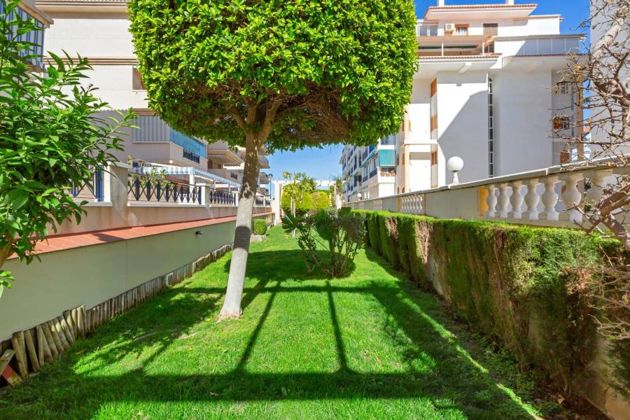 Venta - Apartamento - La Mata - Torrevieja