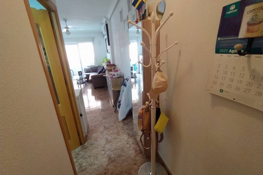 Sale - Apartment - Centro - Torrevieja