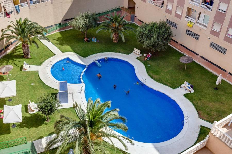 Sale - Apartment - Centro - Torrevieja