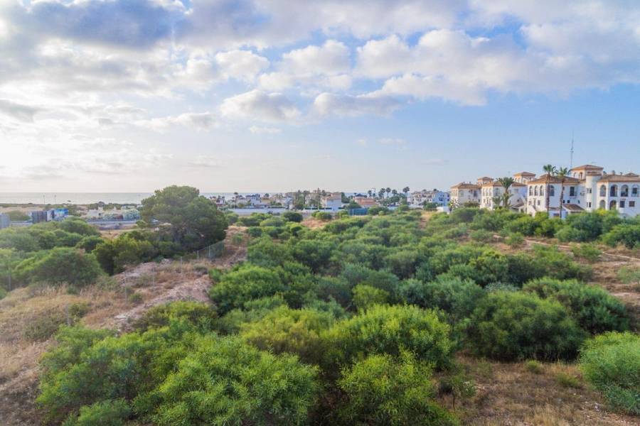 Vente - Appartement - Playa Flamenca - Orihuela Costa