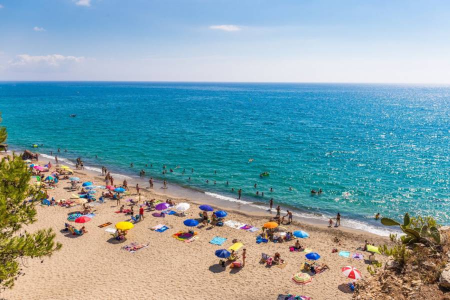 Vente - Maison mitoyenne - Las Mimosas - Orihuela Costa
