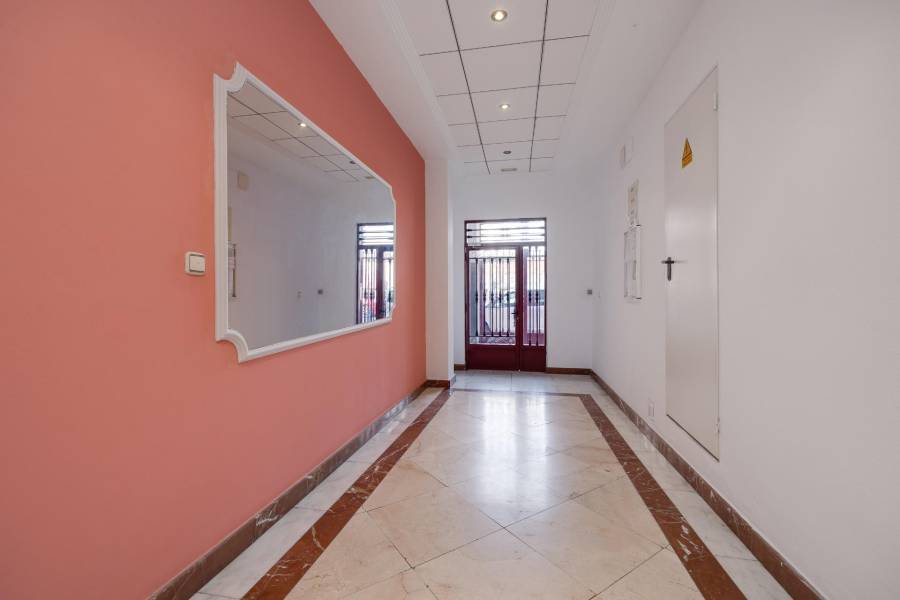 Venta - Estudio - Centro - Torrevieja