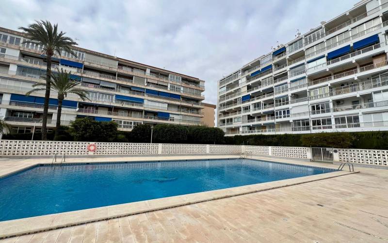 Apartamento - Venta - torrevieja - Torrevieja