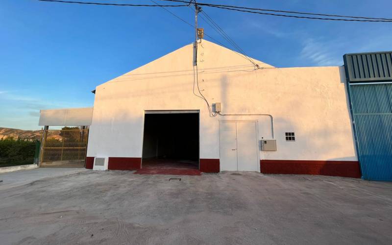 Nave industrial - Rental - Los Dolores - Murcia