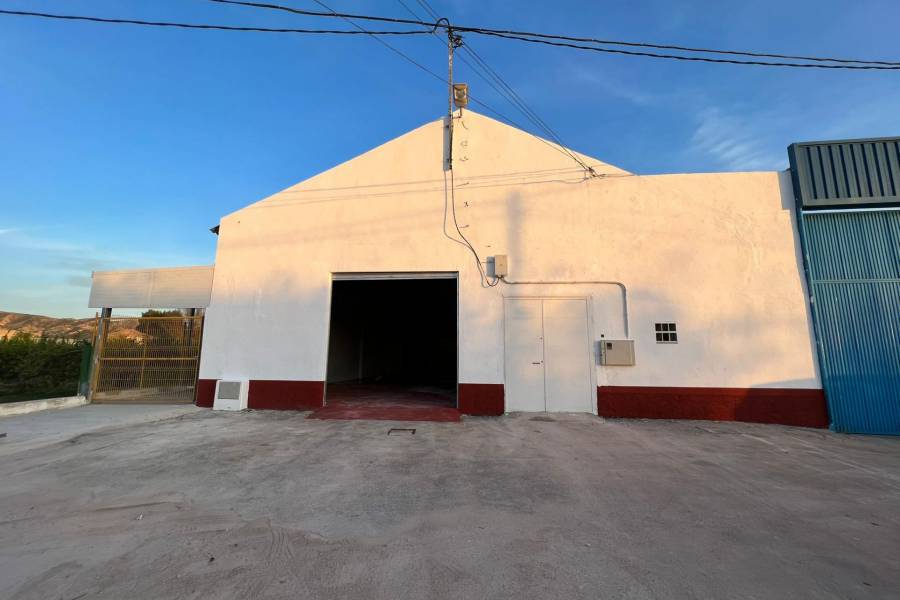 Bâtiment industriel - De location - Los Dolores - Murcia