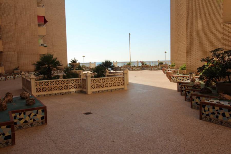 Vente - Appartement - Playa de los locos - Torrevieja