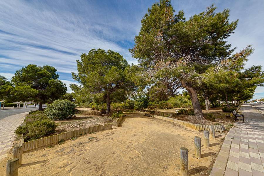 Vente - Maison mitoyenne - La siesta - Torrevieja