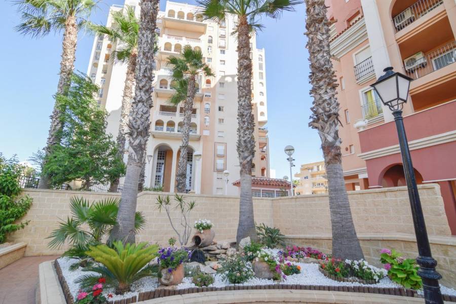 Vente - Appartement - Playa de los locos - Torrevieja